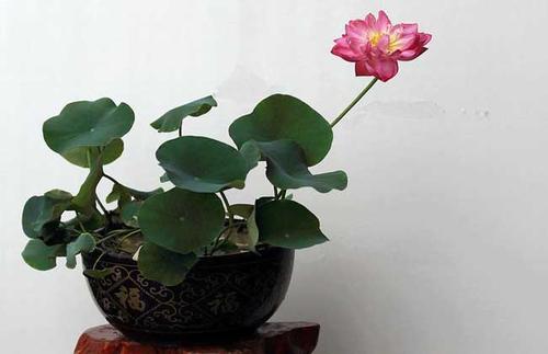 每天早上快乐女友的句子早上快乐快乐女友的句子1