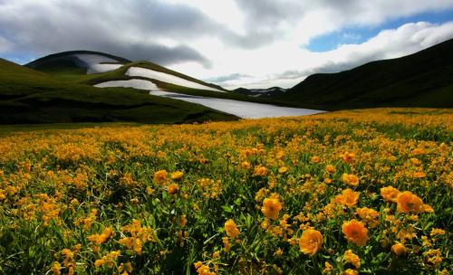 每天早上为快乐的女友量刑