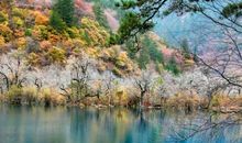 开心每一天正能量的句子 过好每一天唯美的句子