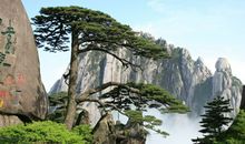 赞美黄山的句子