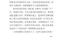 描写班级的优美段落