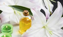 描写百合花的句子