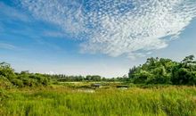 热爱家乡的诗歌