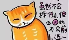 一些很有道理的话