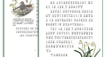 春季，夏季，秋季和冬季的习语