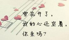 令人感动流泪的句子