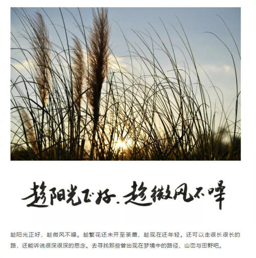 毕淑敏精选语录