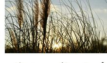 毕淑敏语录精选