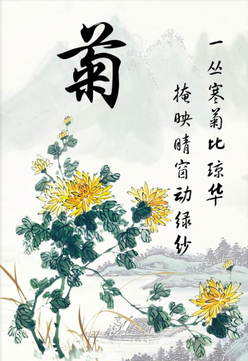 菊花诗