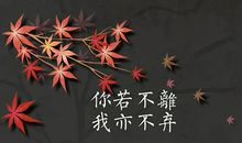 非主流爱情语录大全