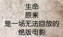 佛教正能量句子