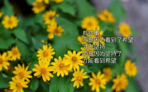 最经典的励志个性签名