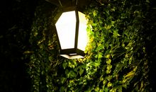 有关寄情于景的诗句