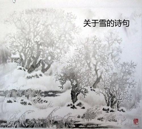 描绘雪景的古诗