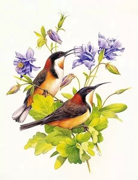 谢谢情人的句子