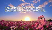 形容好心情的唯美句子