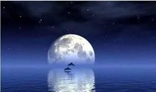 月亮的诗句古诗