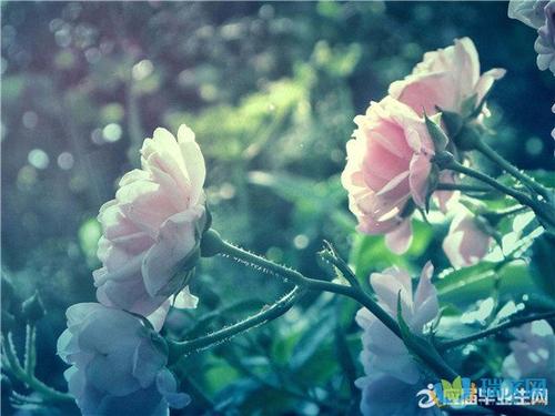 描述普通生活的句子