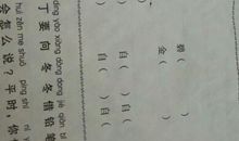 描述团队的词语