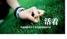 描述生活的句子