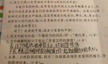 表达爱国的句子