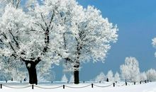 描写雪的好段落