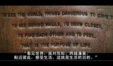 白日梦想家经典语录