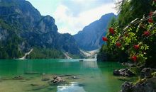 大自然的优美语句