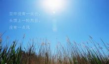 描写夏天唯美的句子