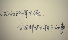 2017经典爱情句子