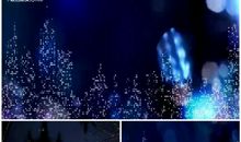 关于城市夜晚的句子