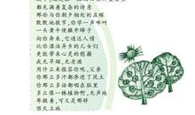 关于德行的谚语