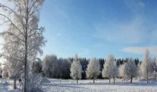 描写下雪伤感的句子