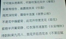 描写菊花的优美段落