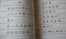 直接抒情的诗句