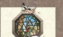 关爱老年人的句子