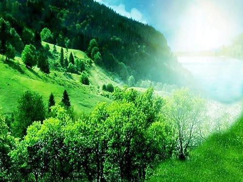 关于夏雨的句子