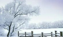 描写下雪的场景