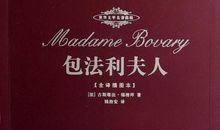 包法利夫人名句