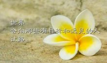 关于励志的说说