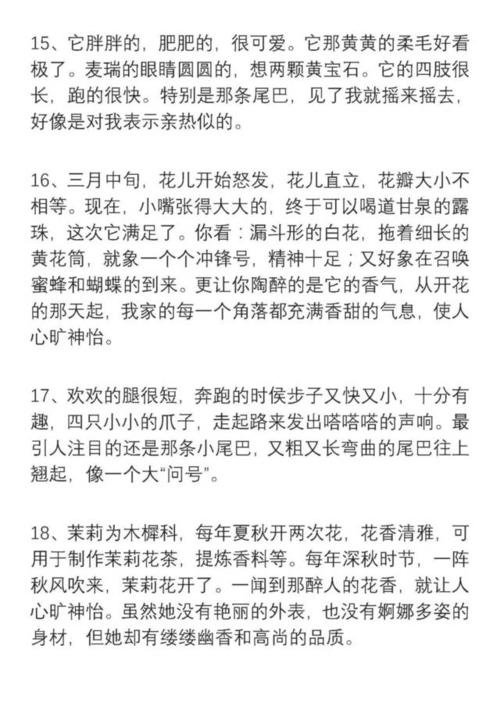 六年级良好的单词和句子的积累