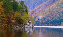 自然景物的诗句