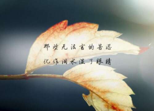 情绪低落的句子