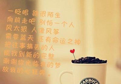 关于城市的美丽句子