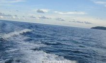 描写大海浪花的句子