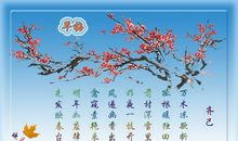 关于梅花的名言