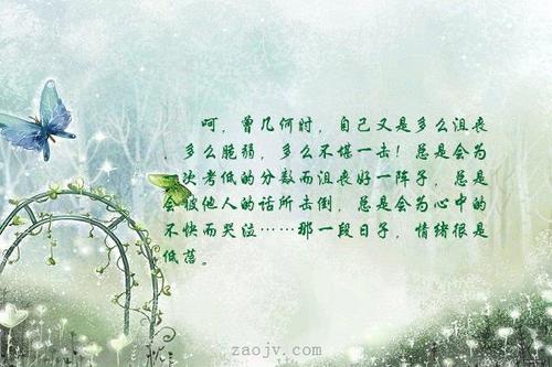 美丽的句子描述眼泪