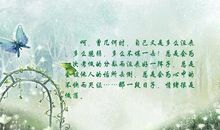 描写流泪的优美句子