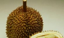 描写榴莲的句子