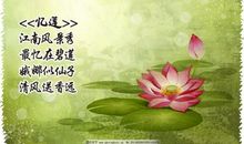 描写赞美荷花的诗句